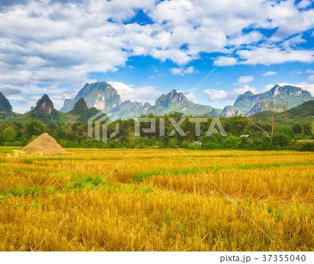Beautiful rural landscape.Vang Vieng, Laos. 37355040