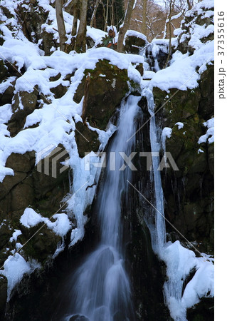 冬の薄衣の滝 37355616