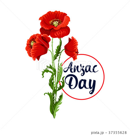 Anzac Day 25 April poppy bunch vector icon 37355628