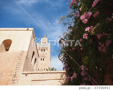 ~モロッコ、マラケシュ~クトゥビーヤ・モスクとお花 ~モロッコ、マラケシュ~クトゥビーヤ・モスクとお花 37356951
