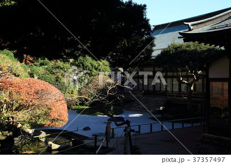 報告寺、本堂、庭、臨済宗、建長寺派 報告寺、本堂、庭、臨済宗、建長寺派 37357497