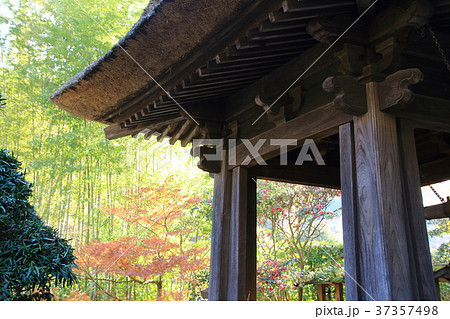 報告寺、鐘楼からの眺め、臨済宗、建長寺派 報告寺、鐘楼からの眺め、臨済宗、建長寺派 37357498