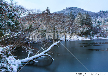 白雲の池の雪景色 雲仙 白雲の池の雪景色 雲仙 37357989