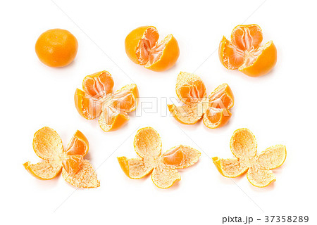 ミカンの有田剥き 37358289