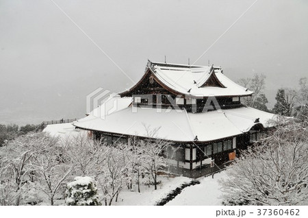 京都・将軍塚青龍殿 京都・将軍塚青龍殿 37360462