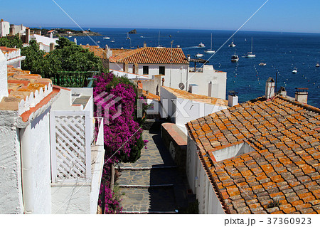 ダリが愛したカダケスの景色 37360923