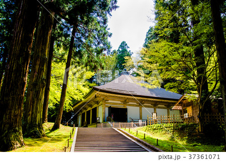 平泉中尊寺 金色堂 37361071