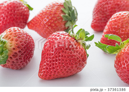 いちご 苺 あまおう イチゴ いちご 苺 あまおう イチゴ 37361386