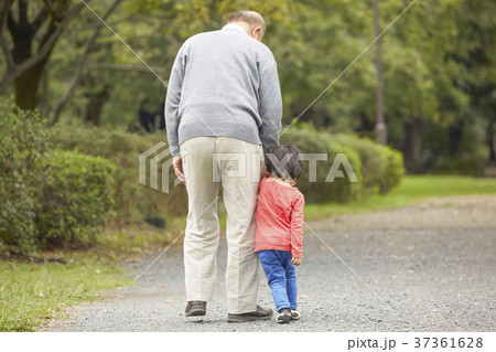 孫と遊ぶシニア 37361628