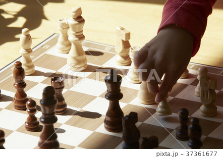 チェスをする子供 手元 チェスをする子供 手元 37361677