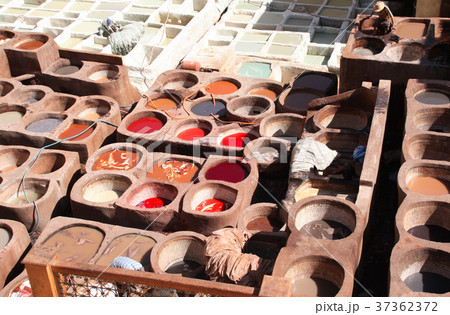Coloration of leather in a tannery, Fes, Morocco 37362372
