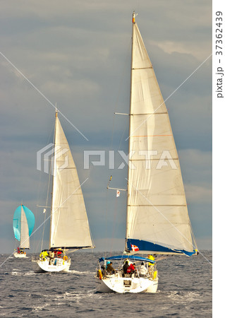 Yacht regatta in Turkey Yacht regatta in Turkey 37362439