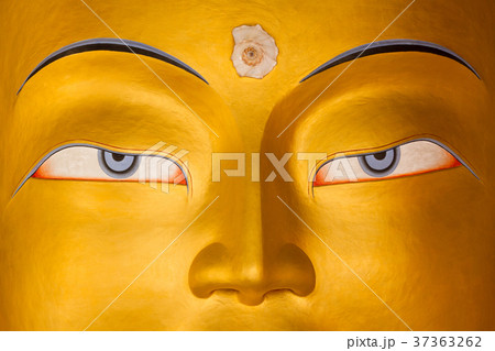 Maitreya Buddha 37363262