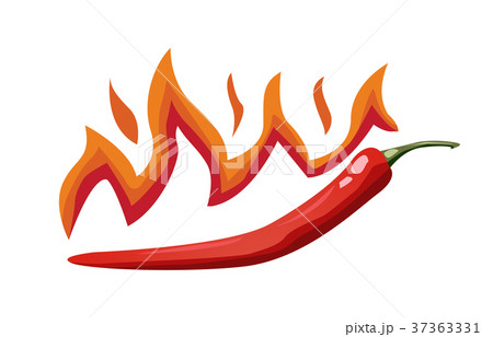 Hot chili pepper vector Hot chili pepper vector 37363331