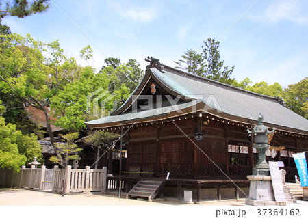 伊弉諾（いざなぎ）神宮 37364162