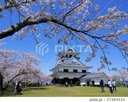 青空と桜花に包まれ 青空と桜花に包まれ 37364534