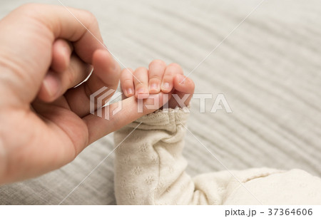 赤ちゃんと一緒 37364606