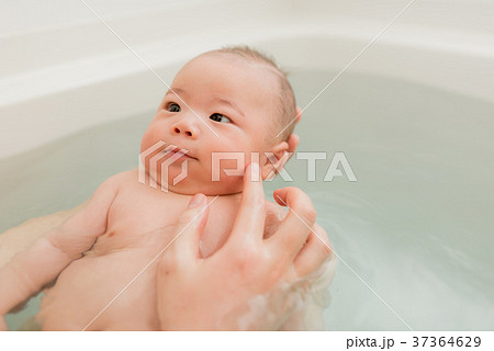 赤ちゃん入浴　ライフスタイルイメージフォト 37364629