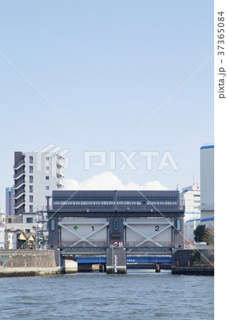 隅田川の風景（大島川水門周辺） 37365084