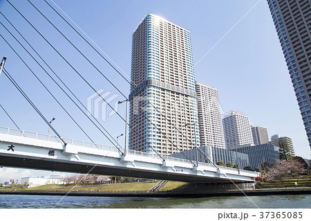 隅田川の風景（中央大橋周辺） 37365085