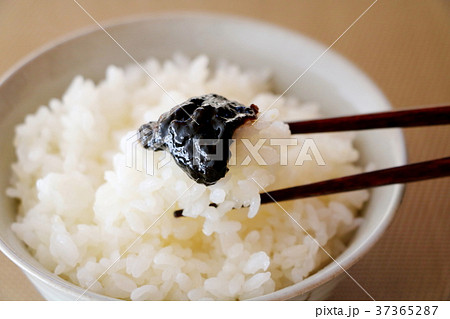 のりつくだ煮 37365287