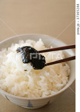 のりつくだ煮 37365288