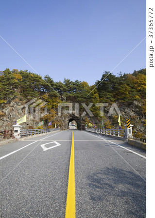 通路 茂朱グチョンドン 道路 37365772