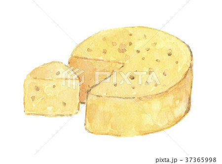 チーズのイラスト素材