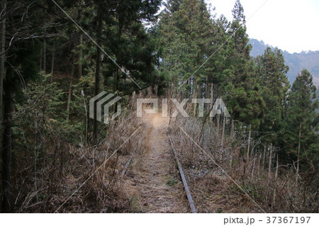 奥多摩の廃線跡の写真素材