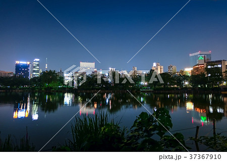 上野 不忍池 夜景 37367910