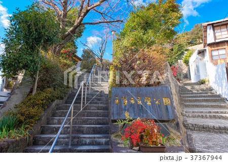 尾道 尾道市文学公園 尾道 尾道市文学公園 37367944