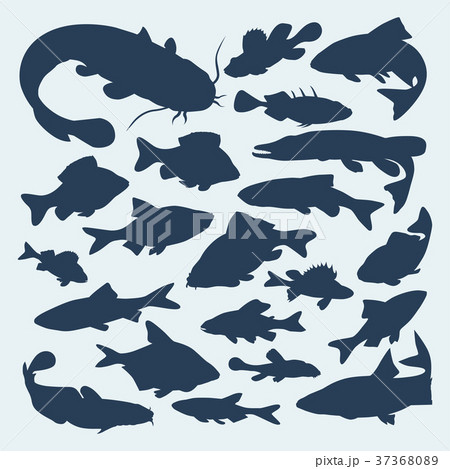 Vector silhouettes of river fish 37368089