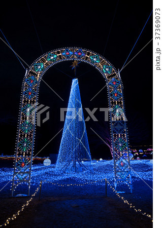 京都イルミエール 37369073