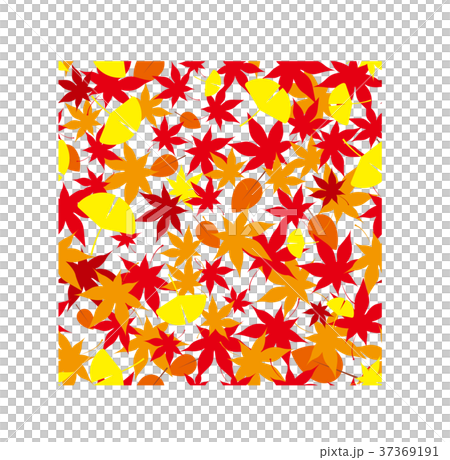 Maple pattern Maple pattern 37369191