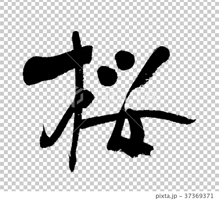 Cherry blossoms ④ 37369371