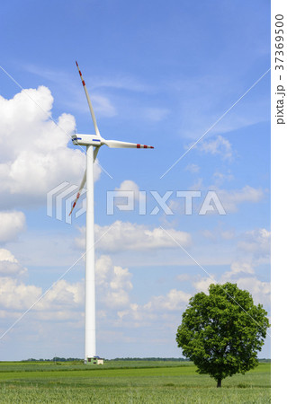 Spring landscape with wind turbine Spring landscape with wind turbine 37369500