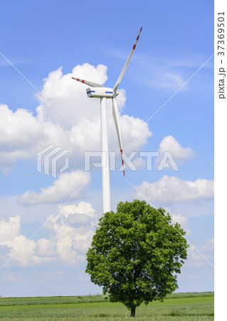 Spring landscape with wind turbine 37369501