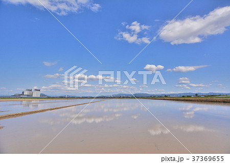 空が映る田んぼ 37369655