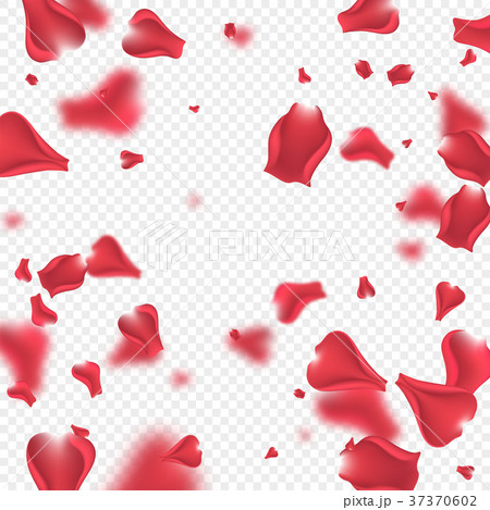 Flying rose petals background. 37370602