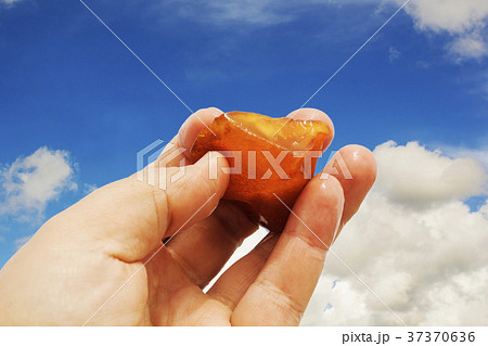 Amber in the hand with a bright reflection on the Amber in the hand with a bright reflection on the 37370636