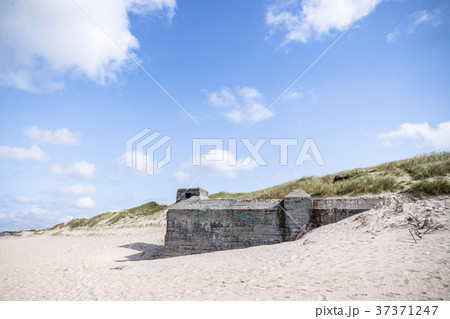 Dune on a beach with ruins of 2nd world war 37371247