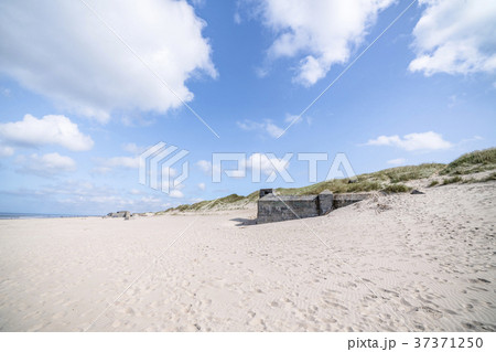 Danish beach with ruins of german bunkers Danish beach with ruins of german bunkers 37371250