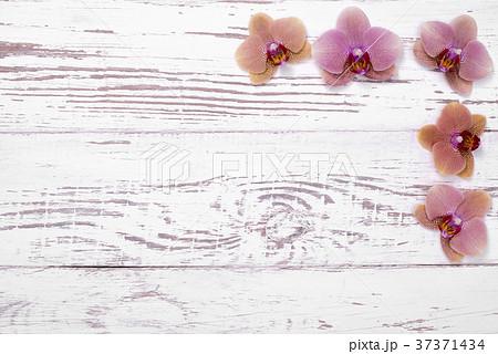 orchid flowers on white wooden table, top view 37371434