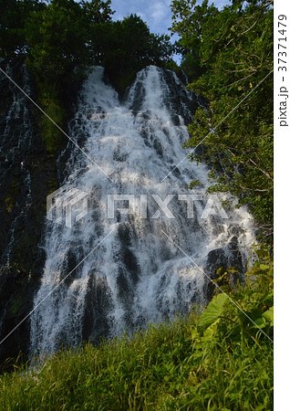 オシンコシンの滝（チャラッセナイ川･河口付近／北海道斜里郡斜里町） 37371479