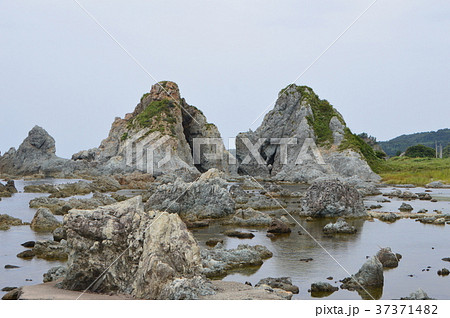 七浦海岸の「夫婦岩」（佐渡島／新潟県佐渡市高瀬） 37371482