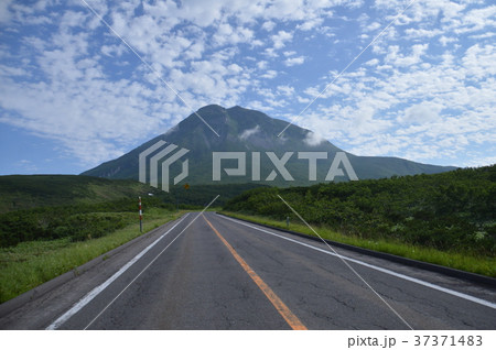 羅臼岳･知床横断道路（知床半島／北海道） 37371483