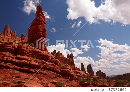 Red Desert 37371662