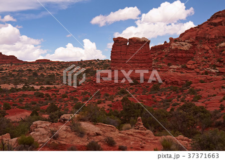 Red Desert 37371663