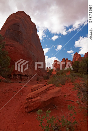 Red Desert 37371664