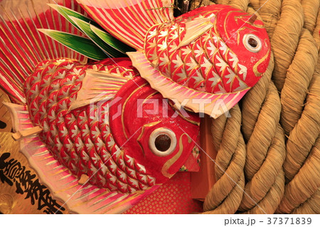 浅草　鷲（おおとり）神社の酉の市　 37371839
